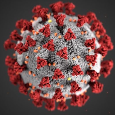 coronavirus